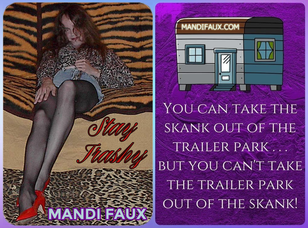 Trailer Park Skank caption